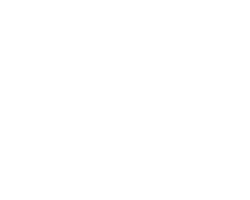 viti-next-arrow-1